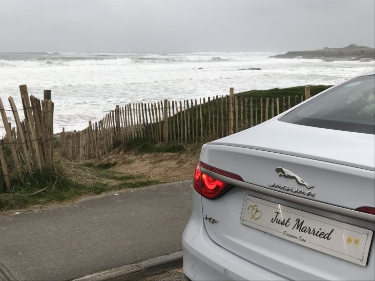 Standard Rear 768x576