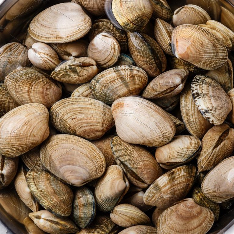 Donegal bay 1 768x768