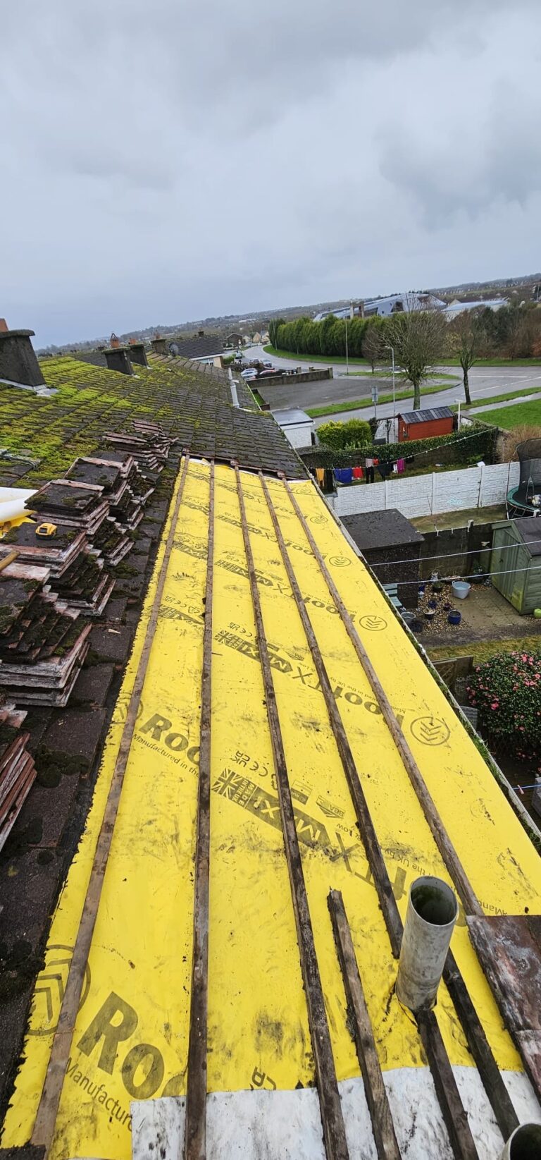 007a5cb1 7c77 4016 a6c9 220e30b60985 768x1645