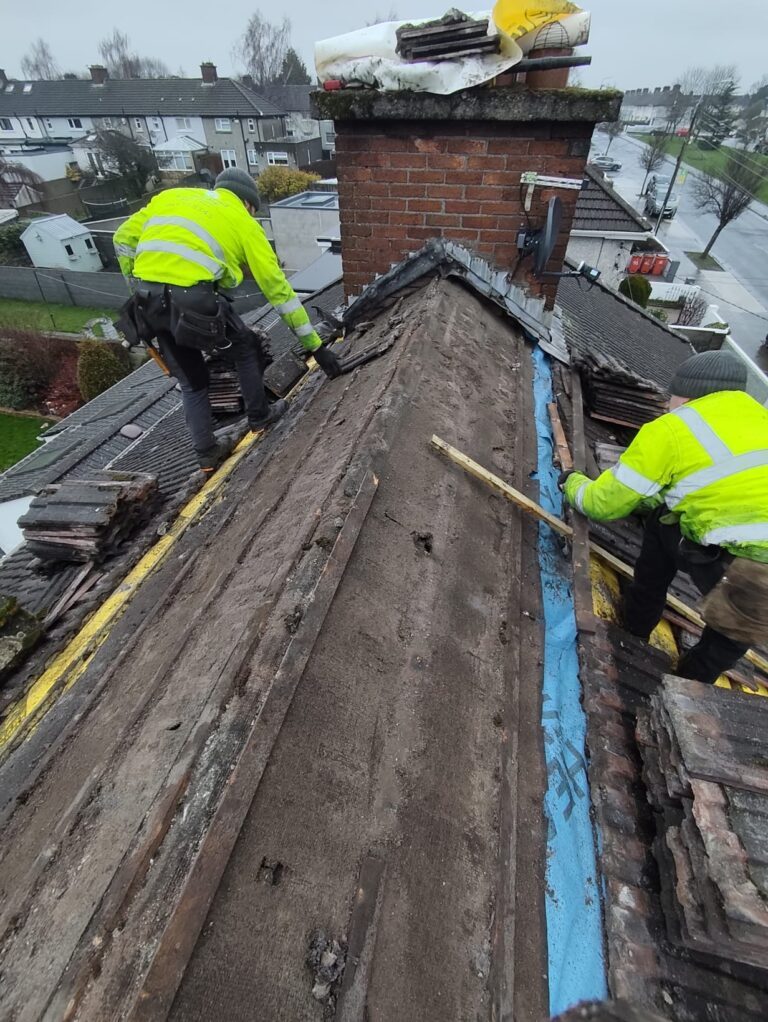 0880c452 6745 4626 a6b8 828a4daaa0a8 768x1022