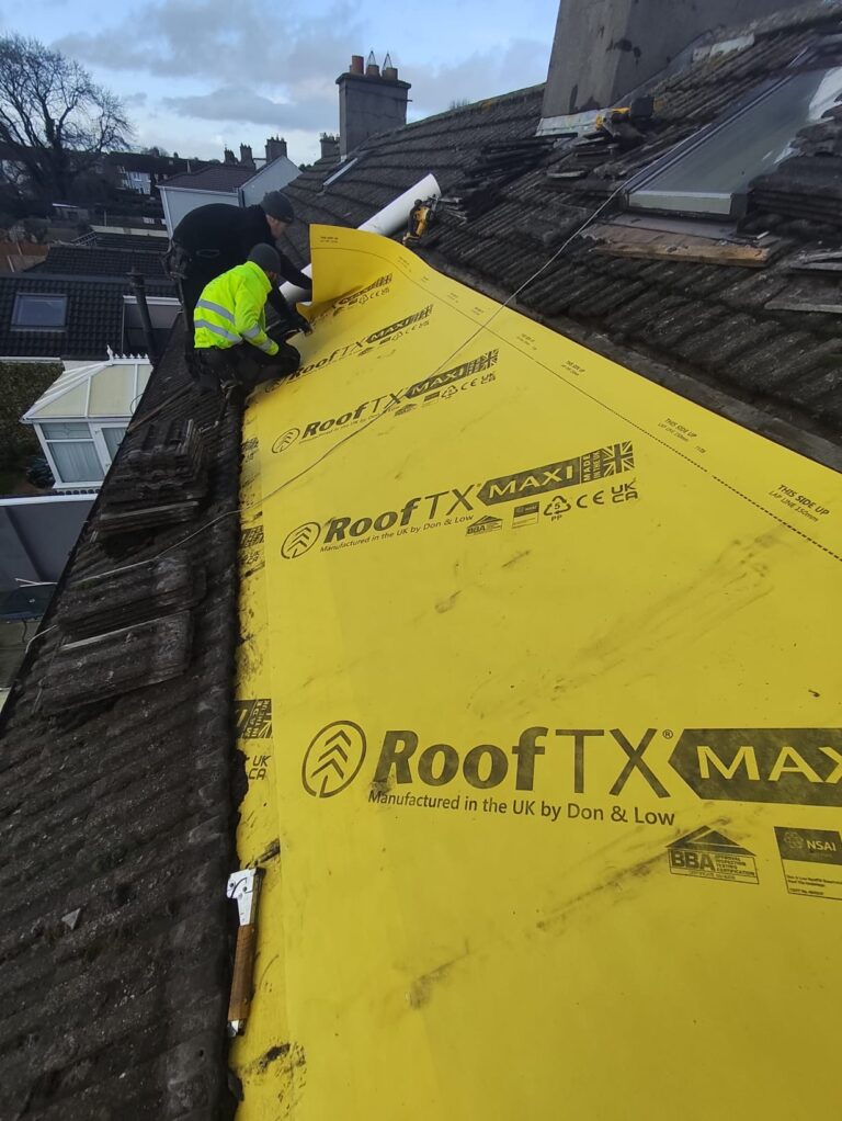 0fcbd6d6 b677 435b 9af6 684fe724a84d 768x1022