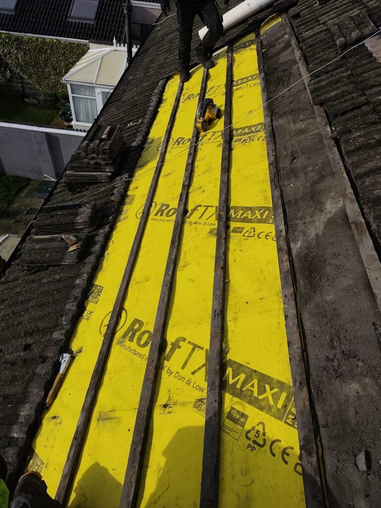 1dd1689c 9bcd 4b15 bb0c c162992f6e4e 768x1024