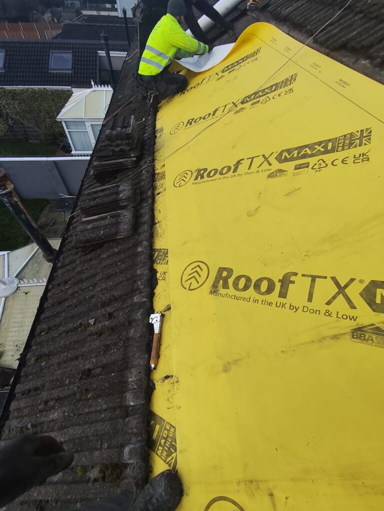 58723402 e21e 416b 9b85 dbf2fd4b7001 768x1022