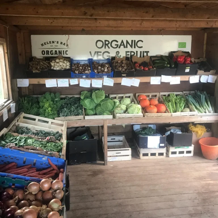 Veg shop.jpg 768x768